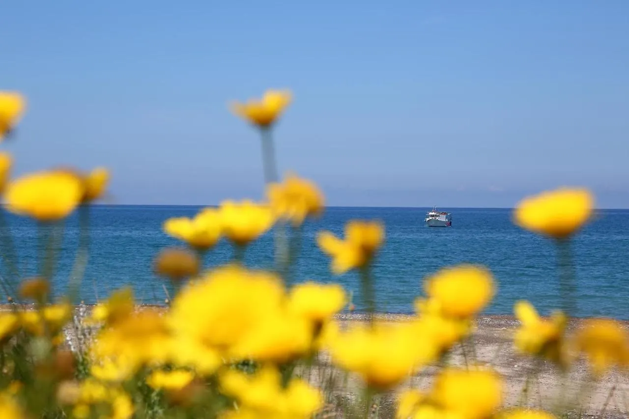 Διαμέρισμα Verdemare In Relax Cefalù